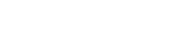 Blue Owl Agency